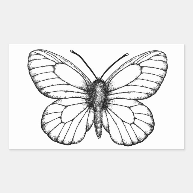 Black-veined white butterfly sticker (Front)