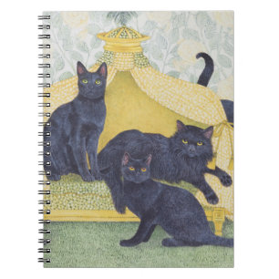Black velvet notebook