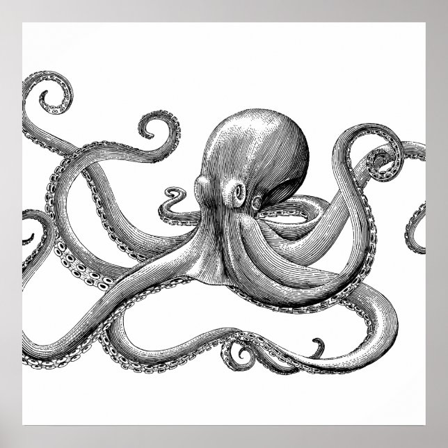 Black Vintage Octopus Scientific Illustration Poster (Front)