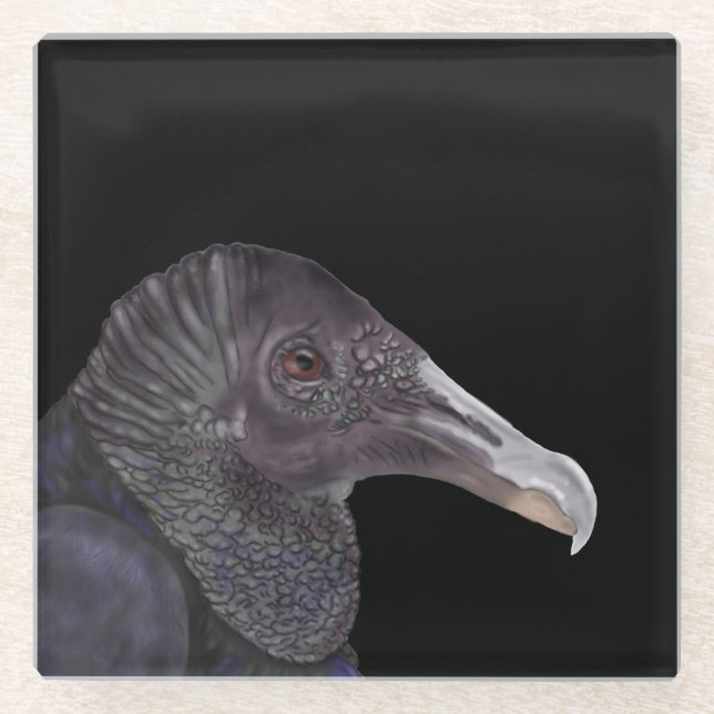 Black Vulture Illustration Glass Coaster (Front)