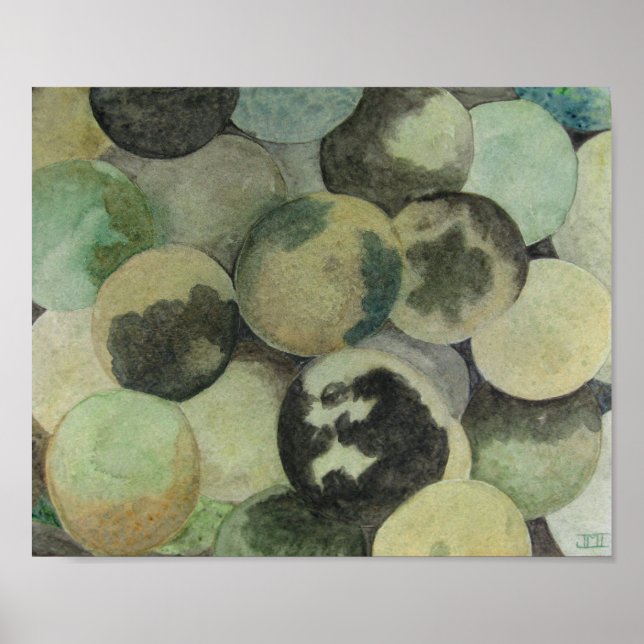 Black Walnuts Poster (Front)