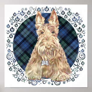 Black Watch Tartan Poster