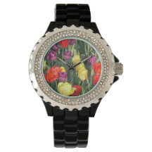 Black Watch w/ Multi-Coloured Tulips