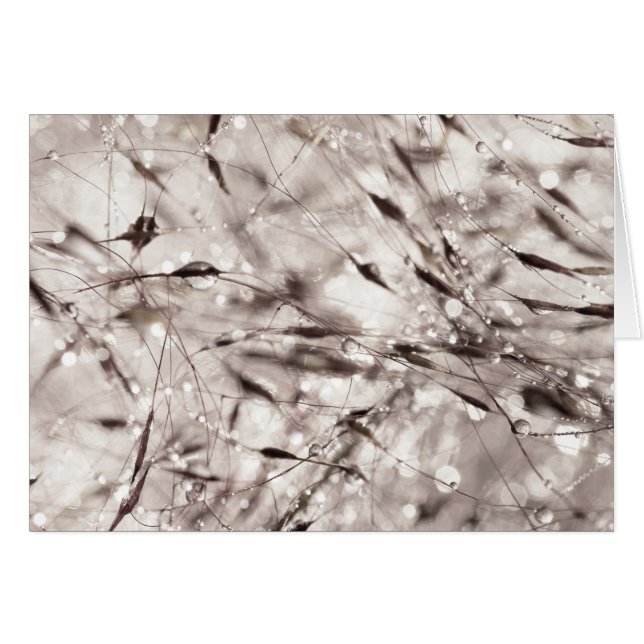 Black White Abstract Wet Grass Dew Texture Nature (Front Horizontal)