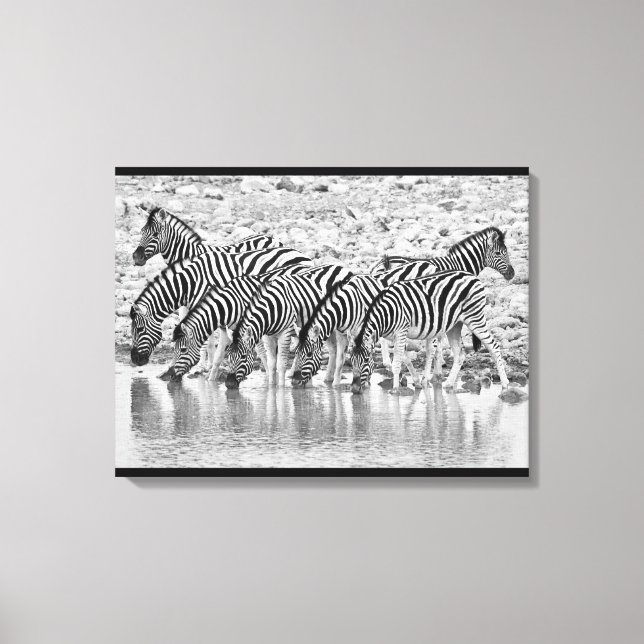 Black White African Zebra Grouping Wrapped Canvas (Front)