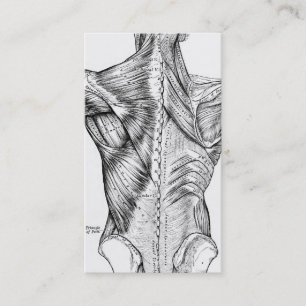 Black & White Anatomy Art Back Muscles QR Code V2 Business Card
