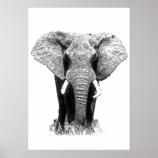 Black & White Asian Elephant Pop Art Poster