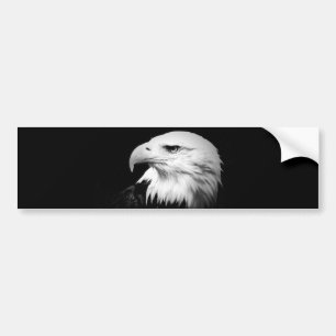 Black & White Bald Eagle Bumper Sticker