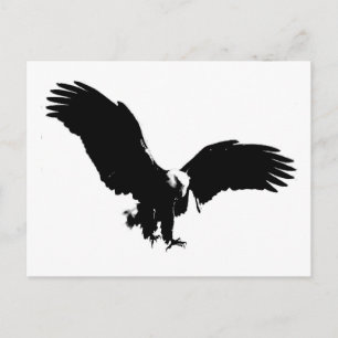 Black & White Bald Eagle Silhouette Postcard