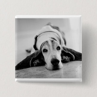 Black & White Basset Hound Button