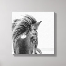 Black & White Beautiful Wild Horse Canval Print 2