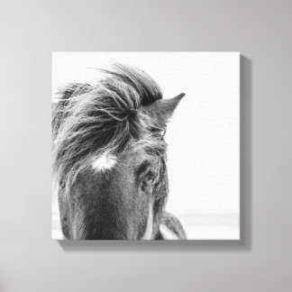 Black & White Beautiful Wild Horse Canval Print 2