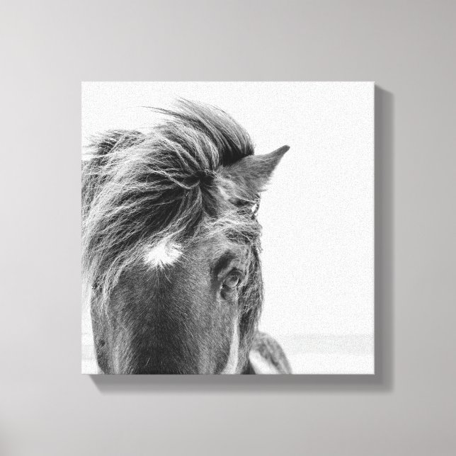 Black & White Beautiful Wild Horse Canval Print 2 (Front)