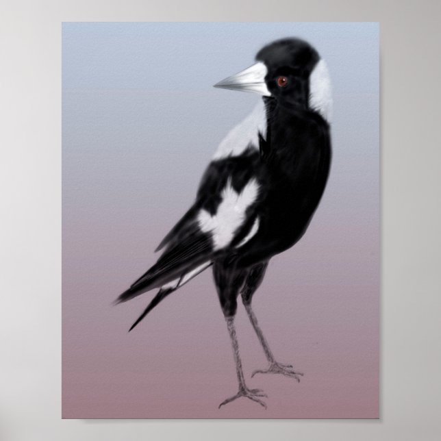 Black white bird art magpie bird poster (Front)