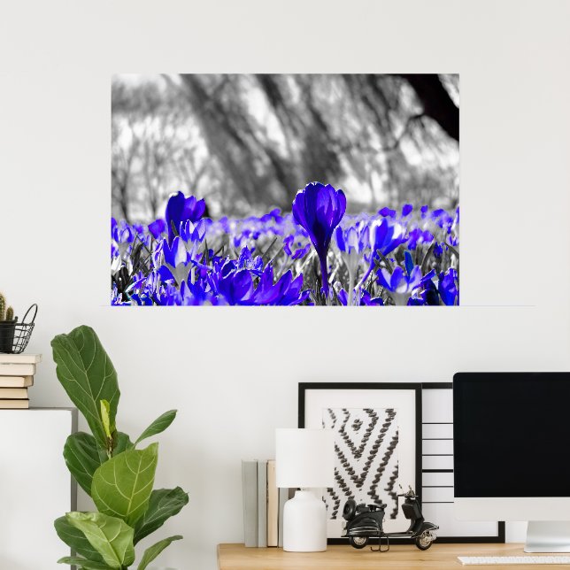 Black White Blue Flower Monochrome Poster (Home Office)