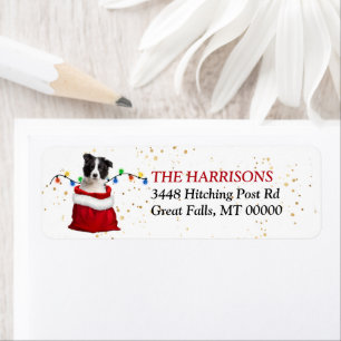 Black White Border Collie Pup Gift Return Address