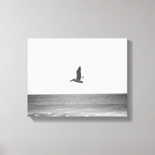 Black & White Brown Pelican Flying Over the Ocean  Canvas Print