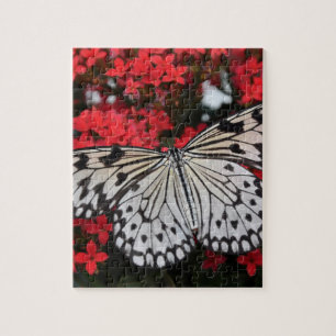 Black & White Butterfly on Red Flowers Jigsaw Puzzle