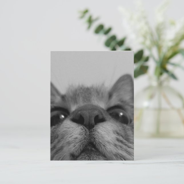 Black&White Cat Face Postcard (Standing Front)