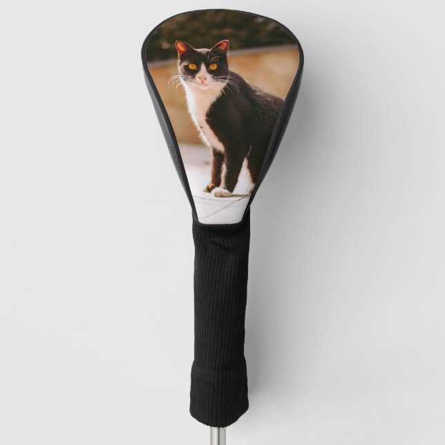 Black white Cat Photo Golf Head Cover (Front)
