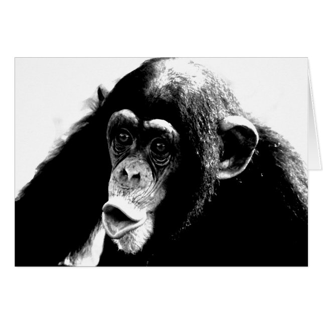 Black White Chimpanzee (Front Horizontal)