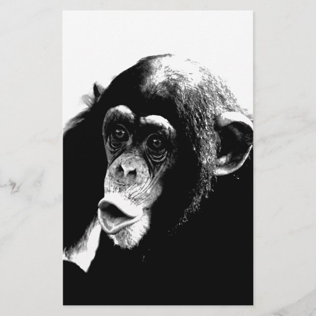 Black White Chimpanzee (Front)
