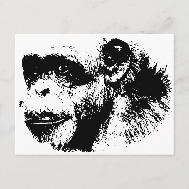 Black & White Chimpanzee Pop Art Postcard (Front)