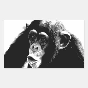 Black White Chimpanzee Sticker