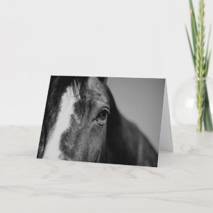 Black & White Close-up Horse Eye Artwork Card
