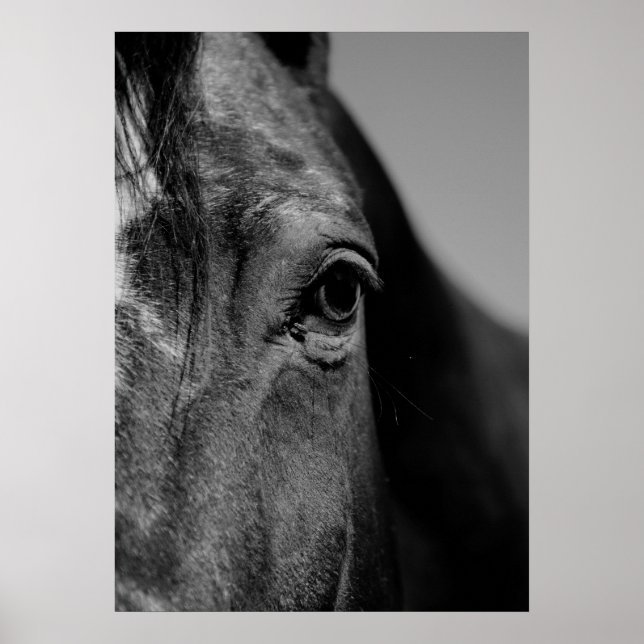 Black & White Close-up Horse Eye Artwork Poster (Front)