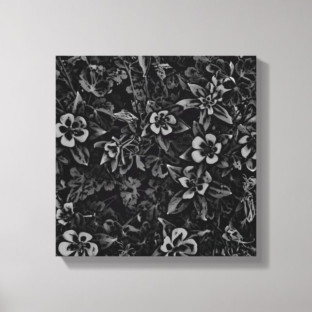 Black white columbine flower Colorado canvas wrap (Front)