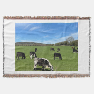 Black & White Cows Grazing in Field Blanket Throw