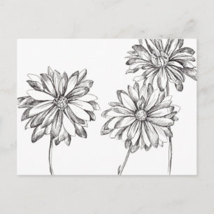Black White Daisy Flower Bouquet Drawing Postcard