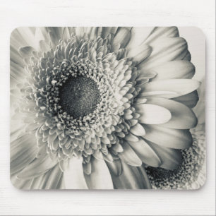 Black white daisy flower photo mouse pad