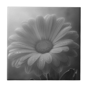 Black & White Daisy Tile