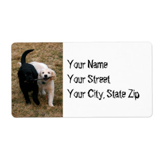Black & white dogs with stick address label
