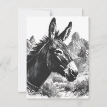Black & White Donkey Portrait Southwestern
