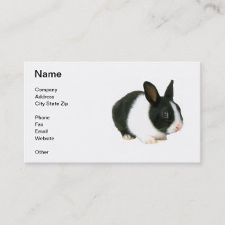 Black & White Dwarf Bunny Rabbit Business Card