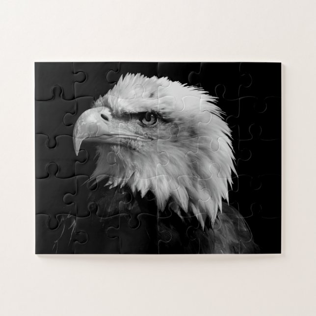 Black & White Eagle - Animals Art Jigsaw Puzzle (Horizontal)