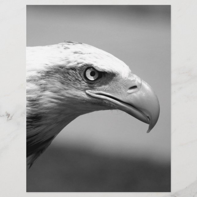 Black & White Eagle Eye (Front)