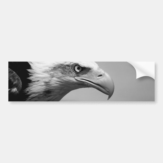 Black & White Eagle Eye Bumper Sticker (Front)
