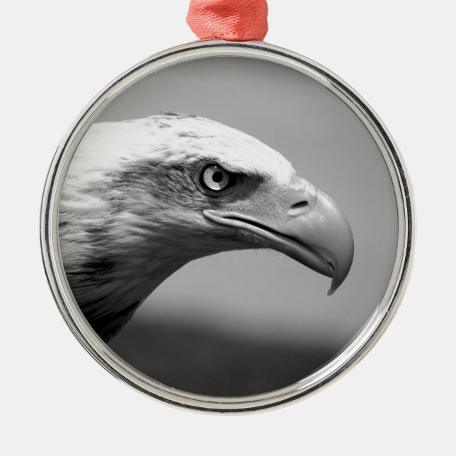 Black & White Eagle Eye Metal Ornament (Front)