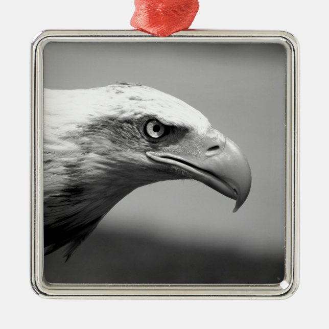 Black & White Eagle Eye Metal Ornament (Front)