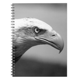 Black & White Eagle Eye Notebook
