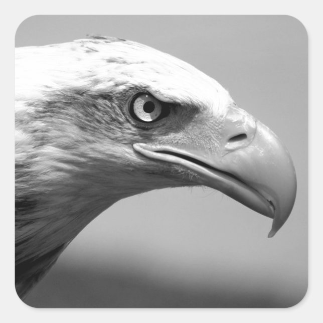 Black & White Eagle Eye Square Sticker (Front)