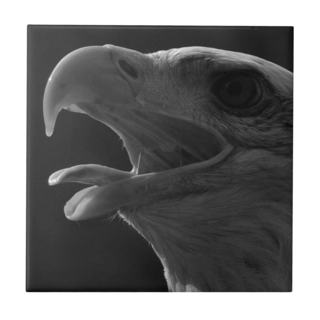 Black & White Eagle Tile (Front)