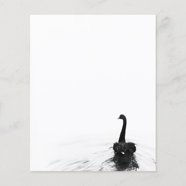 Black & White Elegant Black Swan (Front)