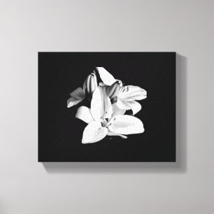 Black & White Flower Stretched Canvas Print