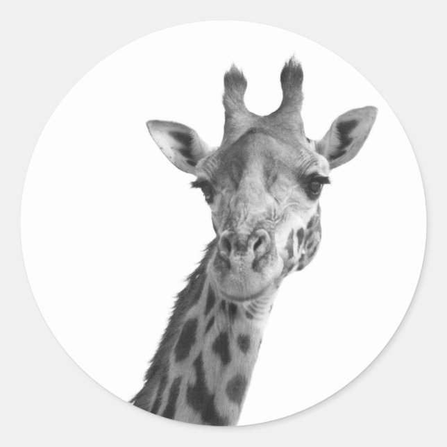Black & White Giraffe Classic Round Sticker (Front)
