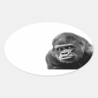 Black White Gorilla